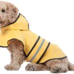 SPOT Ethical Pet Products 23901056: Fashion Pet Coat Rainy Day, Yellow Lg